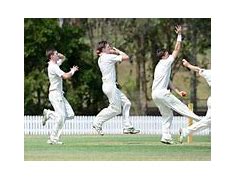 Image result for Cricket Fast Bowling Action