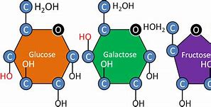 Image result for monosaccharides