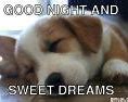 Image result for Happy Good Night Memes
