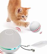 Image result for Kitty Toys for Cats