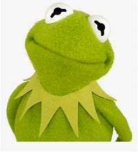 Image result for Kermit Funny Face