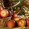 Image result for Free Photos of Autumn Apple's