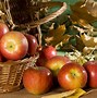 Image result for Orchard Apple Fruit Background