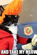 Image result for Money Cat Meme