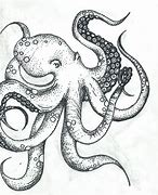 Image result for Amazing Octopus