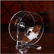 Image result for Hamster Wheel