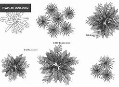 Image result for CAD Tree Top View