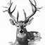 Image result for Deer Face Pencil Drawing