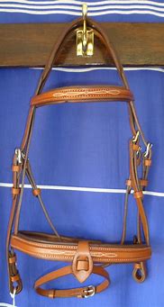 Image result for Jumping Bridle