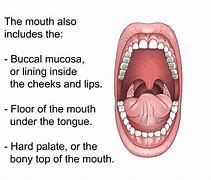 Image result for Papilloma in Mouth