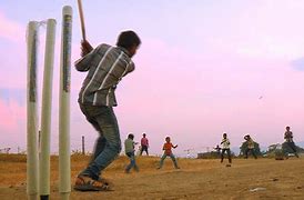 Image result for People Playing Cricket