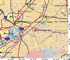 Image result for Allentown Niz Map