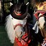 Image result for Miniature Horse Costumes