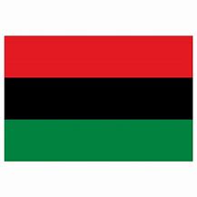 Image result for Black American Flag Year