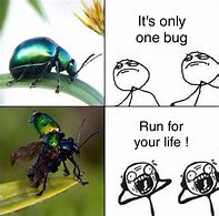 Image result for Q&A Bug Meme