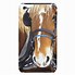 Image result for Horse iPod Case