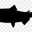 Image result for Jumping Salmon Vector