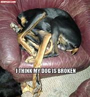 Image result for Broken Dog Meme