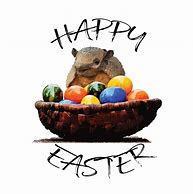 Image result for Easter Armadillo Friends