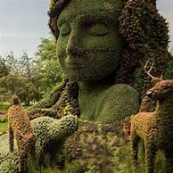 Image result for Mauritius Botanical Garden