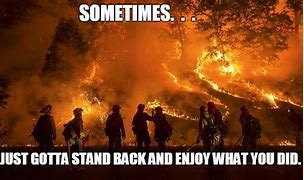 Image result for Amazon Rainforest Burn Memes