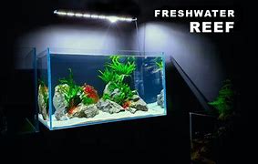 Image result for Next Step Monitor Fish Tank
