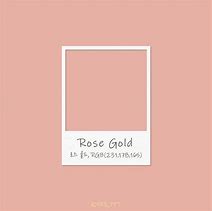 Image result for Rose Gold Pantone iPhone