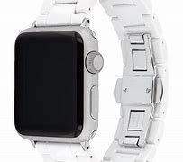 Image result for Ceramic Apple Watch Band