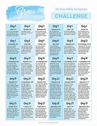 Image result for 30-Day Grace Challenge Bible