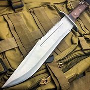 Image result for Full Tang Bowie Knife