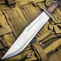 Image result for Hunting Bowie Knife