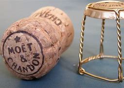 Image result for Champagne Cork