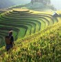 Image result for Slow Food in China