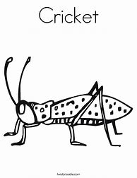 Image result for Quick as a Cricket Worksheet Coloring