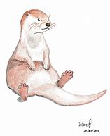 Image result for River Otter Holding Something Drawing