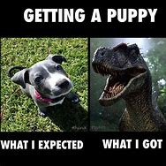 Image result for Doberman Puppy Velociraptor Meme