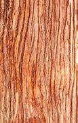 Image result for Cedar Texture