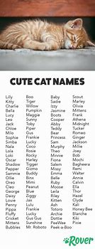 Image result for Cutest Animal Names