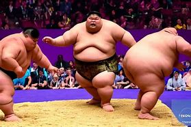 Image result for Women's Sumo