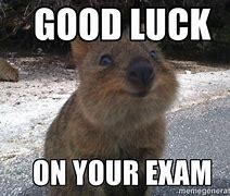 Image result for Good Luck On Exam Meme