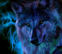 Image result for Abstract Wolf Art