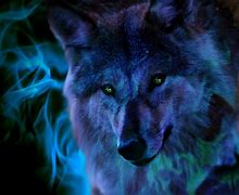 Image result for Galaxy Anime Wolves Female