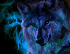 Image result for Animated Galaxy Wolf