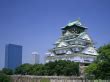 Image result for Things to Do in Osaka with Elderly