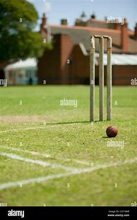 Image result for Cricket Pitch Grass