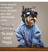 Image result for Happy Birthday Dawg Meme