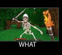 Image result for Minecraft Skeleton Memes