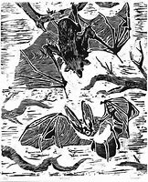 Image result for Bat Lino Print