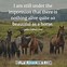Image result for Smart Horse Quotes
