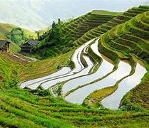 Image result for Chinese Farming
